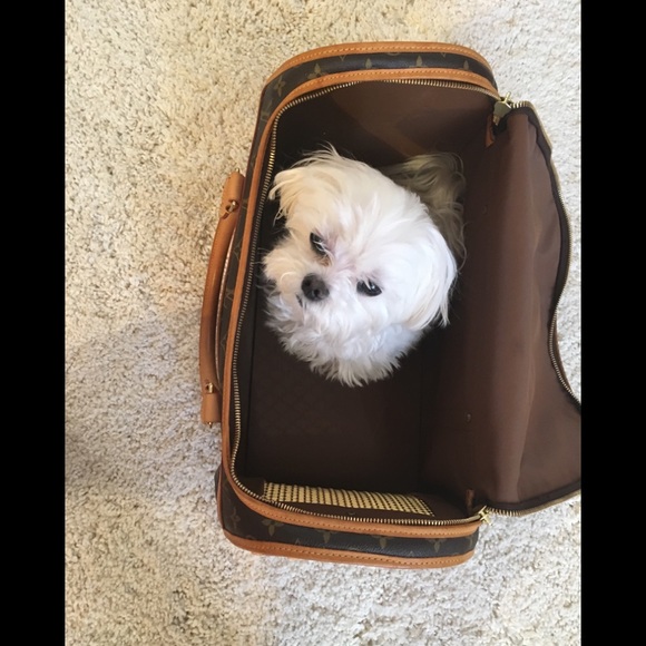 Sold!!!  Authentic Louis Vuitton pet Carrier - Picture 8 of 8
